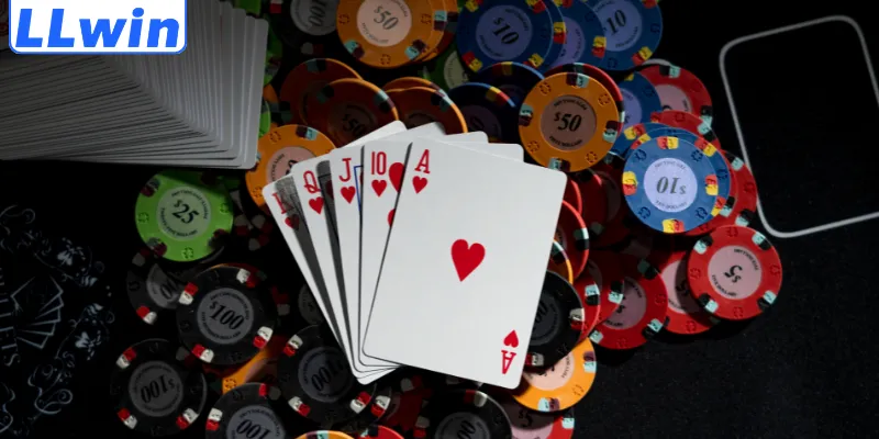 Cược theo cảm tính là sai lầm