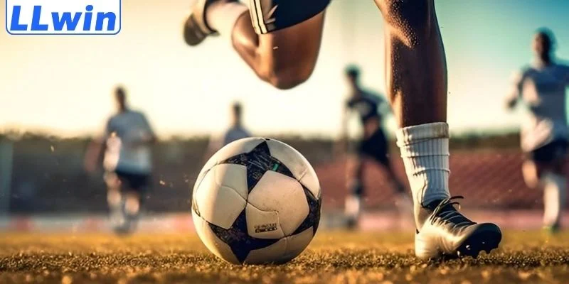 thể thao llwin 1 Những thông tin khái quát nhất về sảnh chơi thể thao